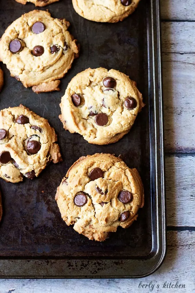 Top down view of chewy peanut butter cookies with chocolate chips on a baking sheet.