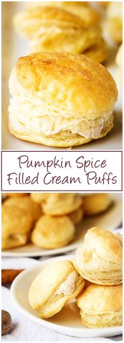Pumpkin Spice Filled Cream Puffs | Berly's Kitchen
