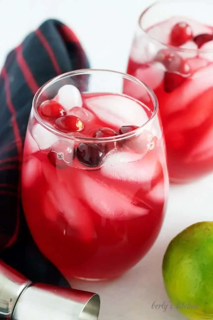 A close-up picture of the drinks surrounded by fresh limes and cranberries.