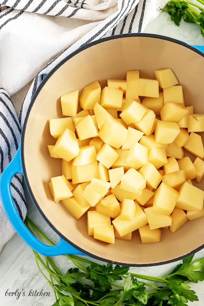 Diced potatoes, in a large pot, just before being cooked.