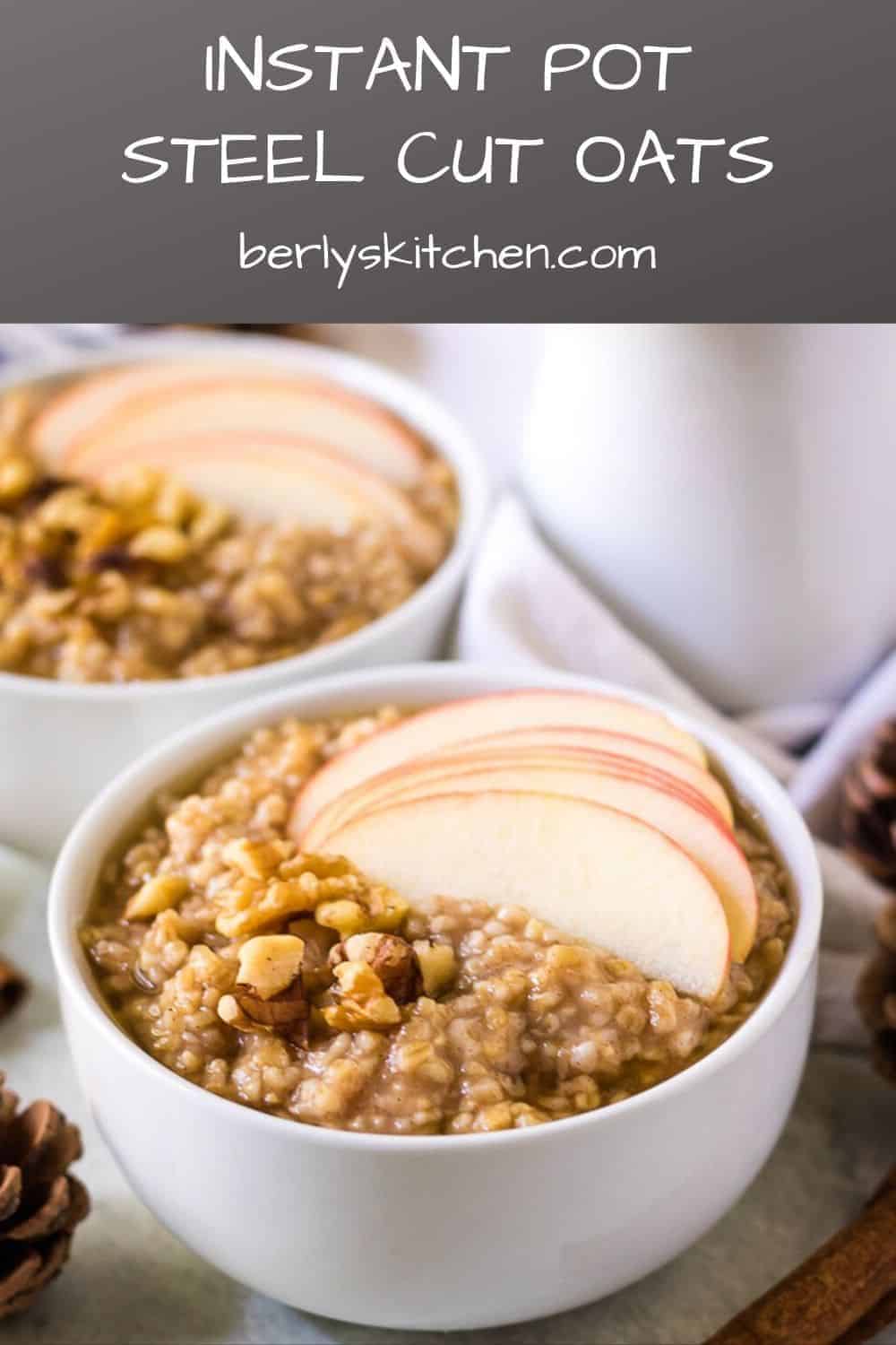 Instant Pot Steel Cut Oats Recipe