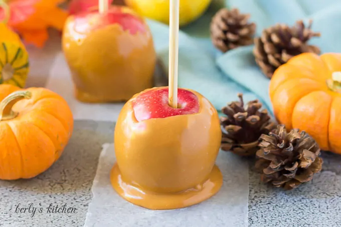 Two caramel apples on wax paper surrounded by fall decor.