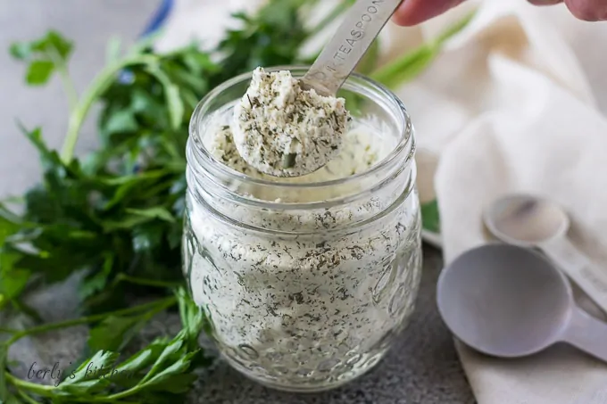 A small spoon showing a scoop of ranch dressing mix.