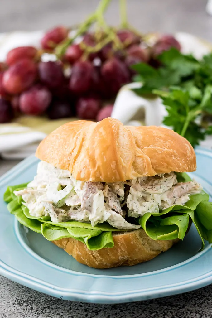 A turkey salad sandwich with lettuce on a golden croissant.