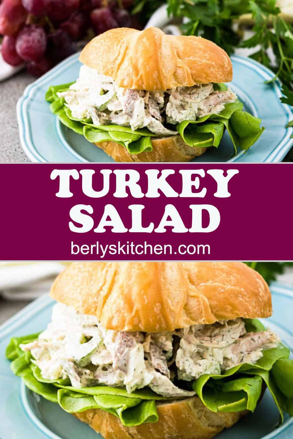 Leftover Turkey Salad Recipe