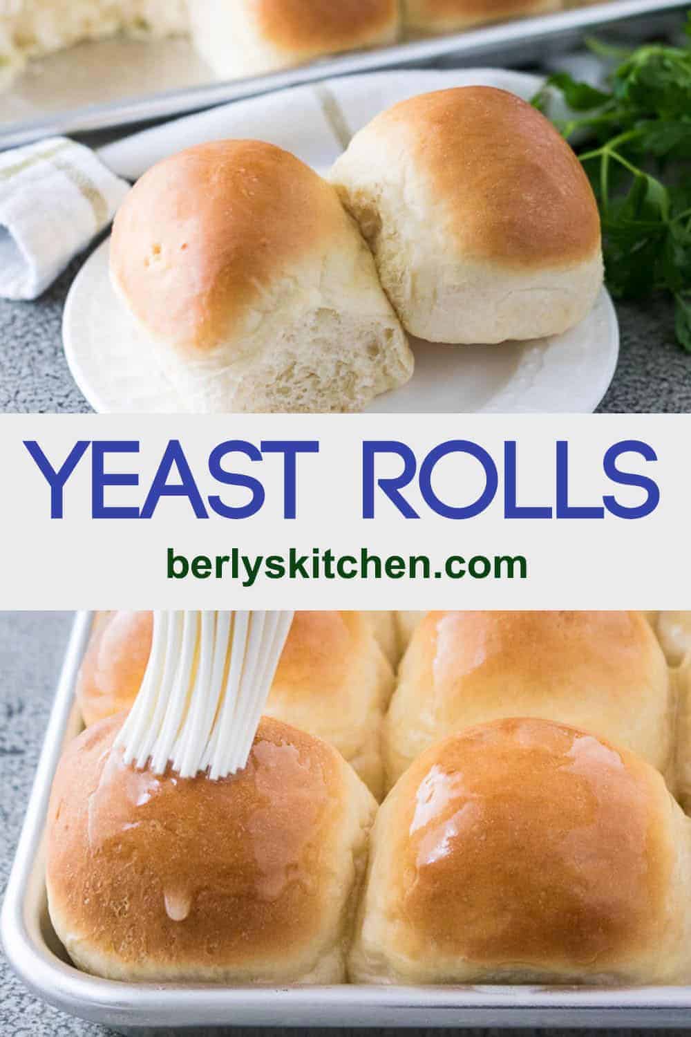 Homemade Yeast Rolls Recipe