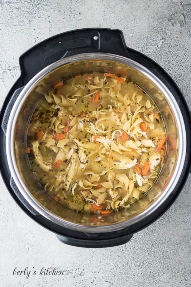 Instant Pot Chicken Noodle Soup Recipe