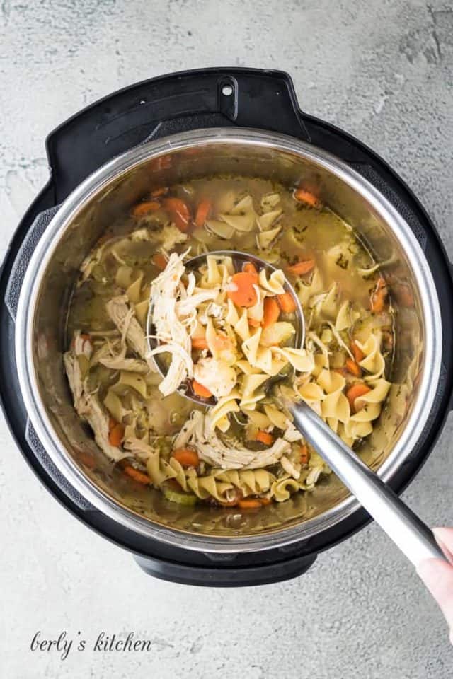 Instant Pot Chicken Noodle Soup Recipe