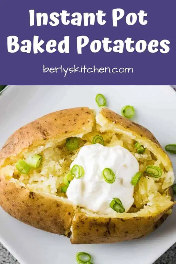 A top-down view of the instant pot baked potato with toppings.