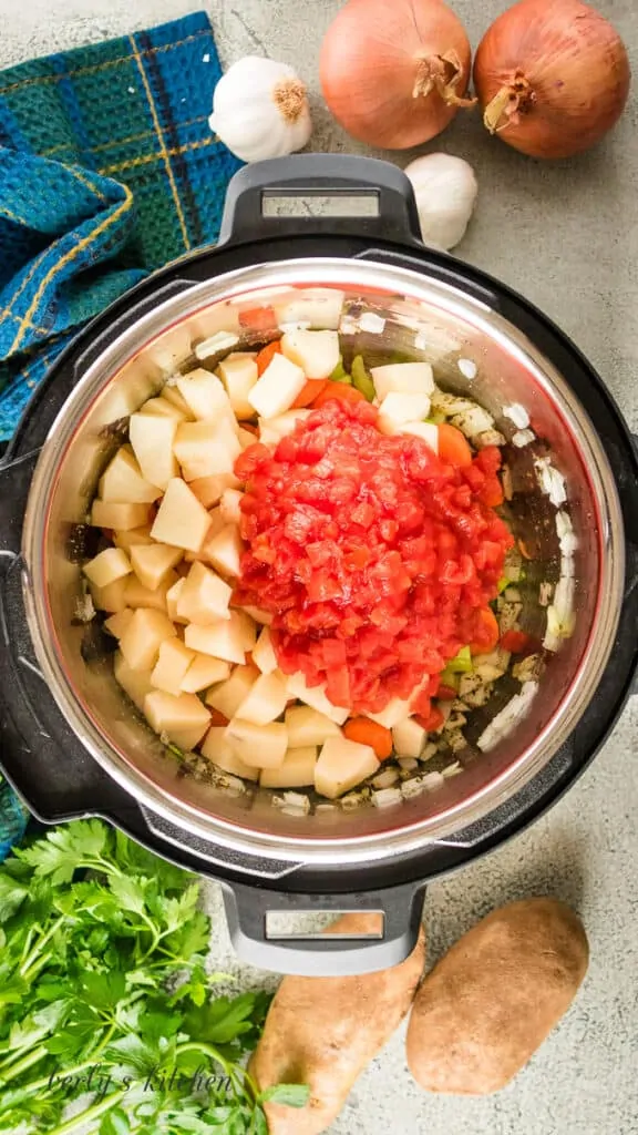 Diced tomatoes have been added to the other ingredients.