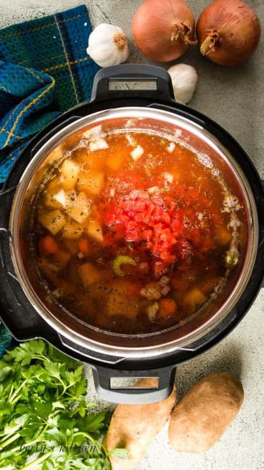 Instant Pot Vegetable Soup Recipe