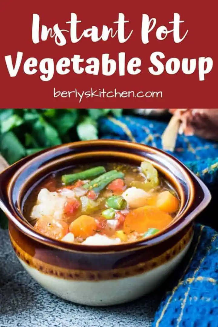 Instant pot vegetable soup showing all the veggies.