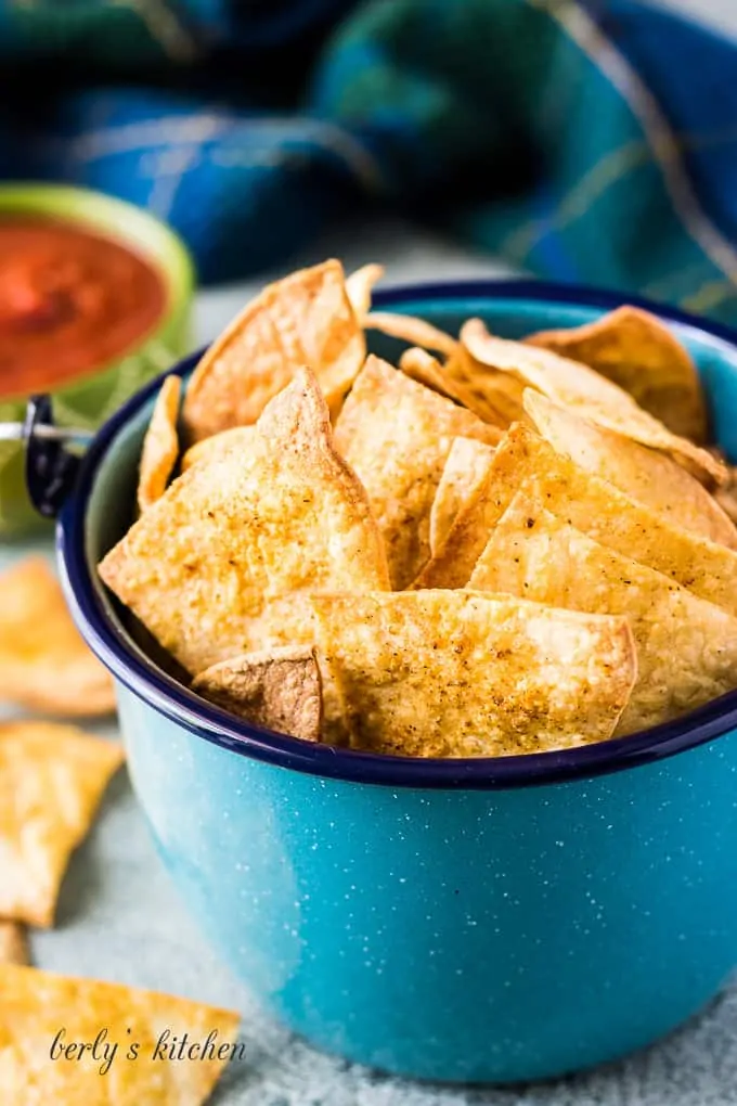 Close-up view of the chips showing the seasoning.