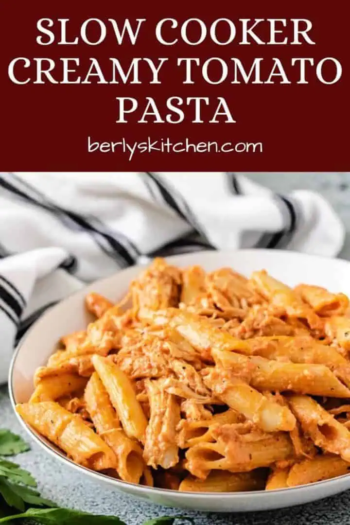 A close view of the creamy chicken pasta in a bowl.