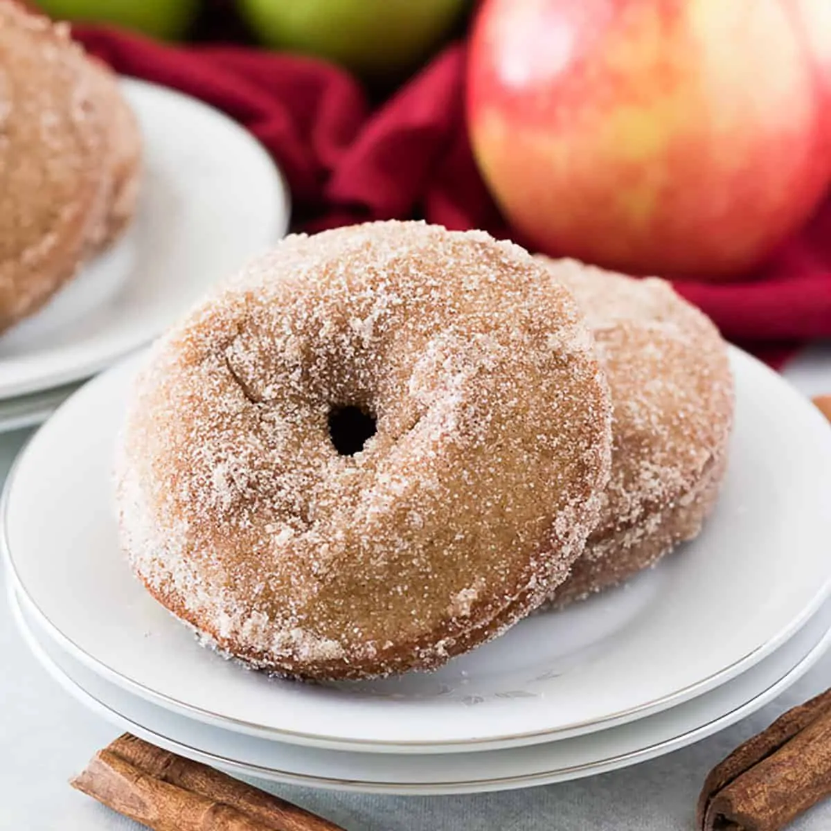 Two apple cider donuts on a white plate.