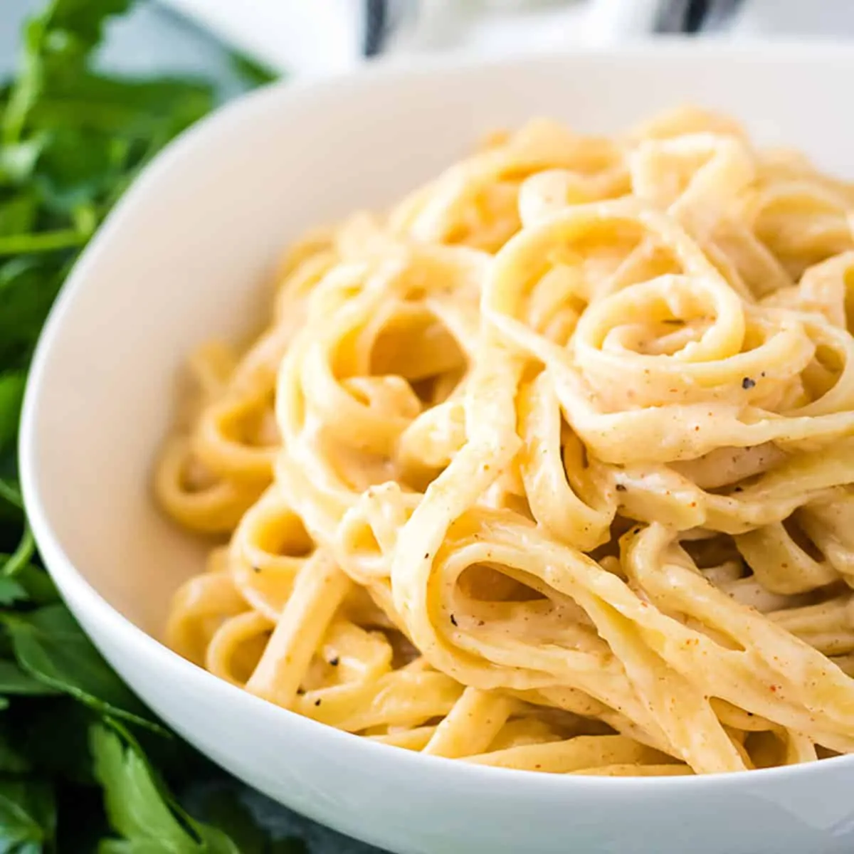 White bowl filled with spicy fettuccine alfredo.