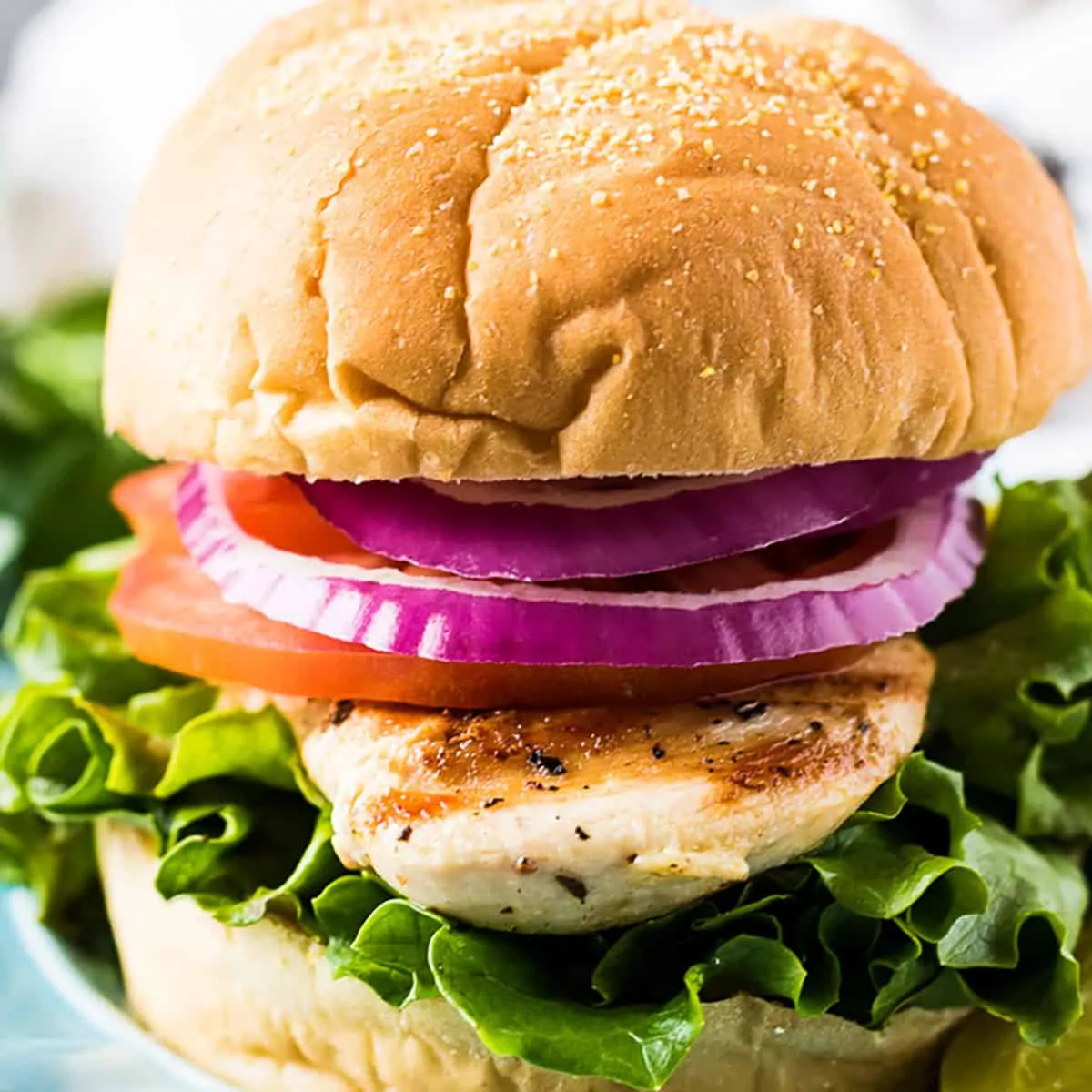 Grilled chicken sandwich on a large bun.