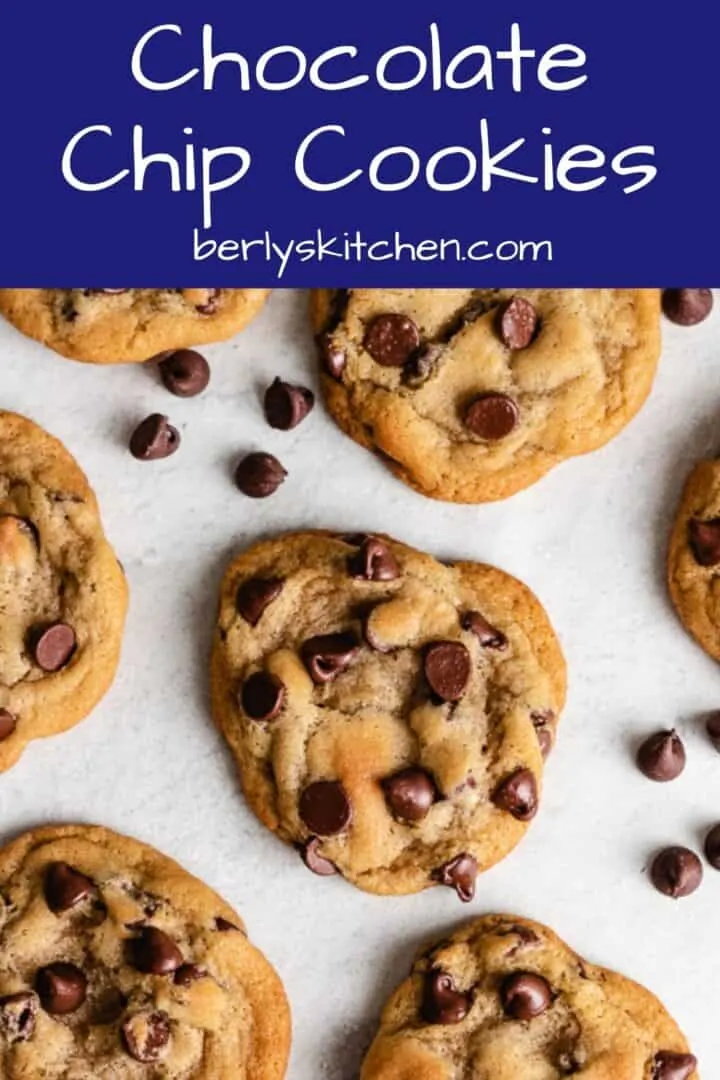 An aerial view of soft chocolate chip cookies on parchment paper.