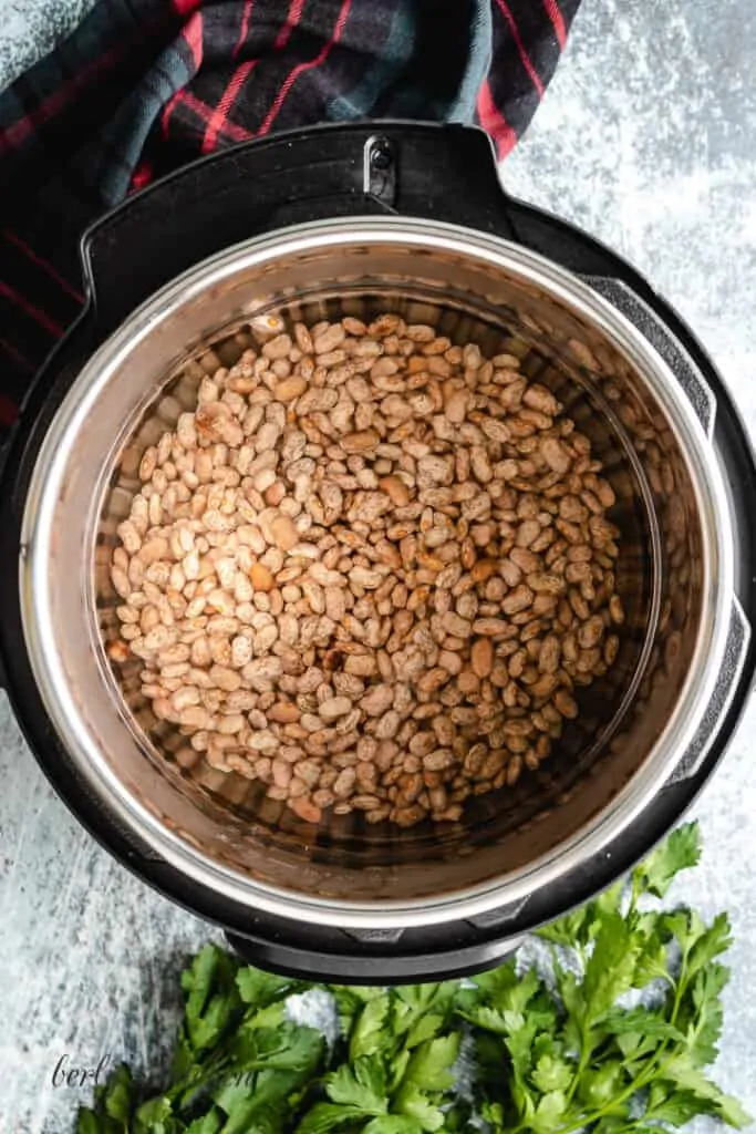 Uncooked pinto beans and water in the pressure cooker liner.