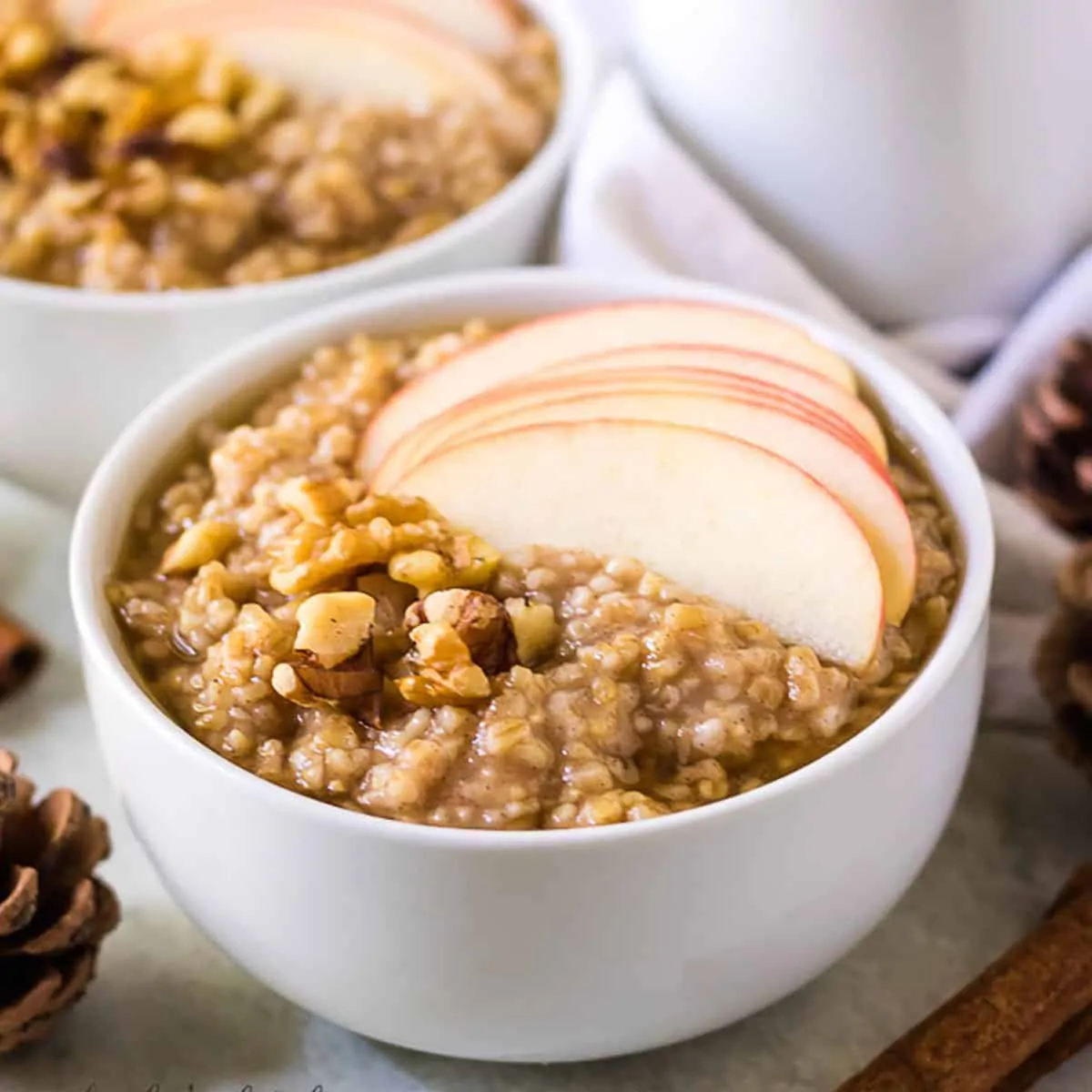 Bowl of steel cut oats topped apple slices next to a pine cone and cinnamon.