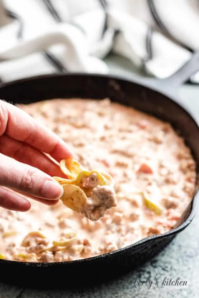 A chip being dipped into the warm cheese dip.