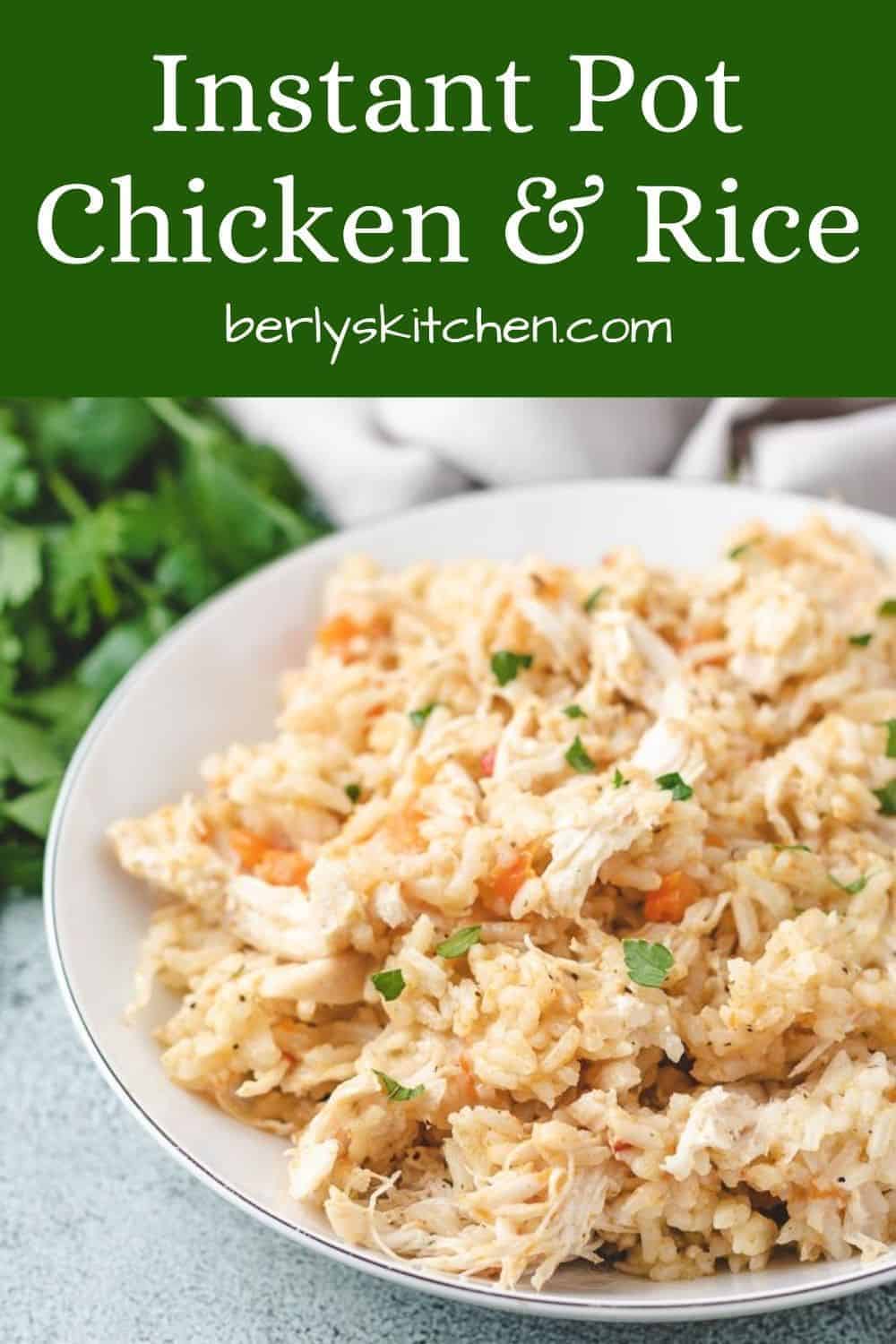 Instant Pot Chicken And Rice