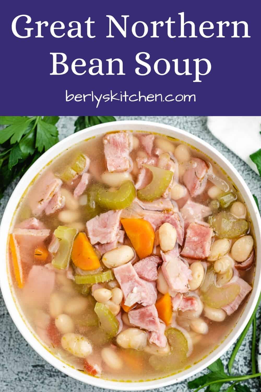 Great Northern Bean Soup