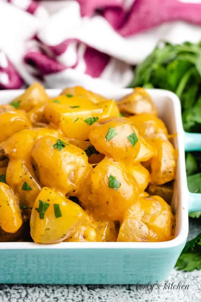 A close-up view of the cheesy potatoes with green onions.