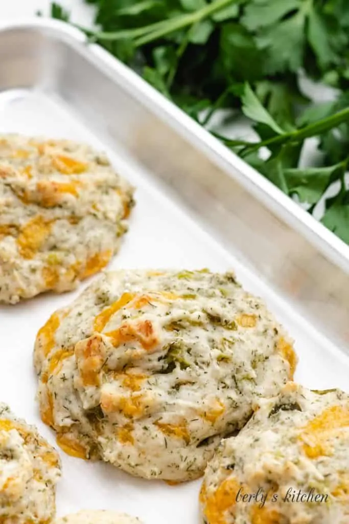 The baked dill biscuits cooling on a sheet pan.