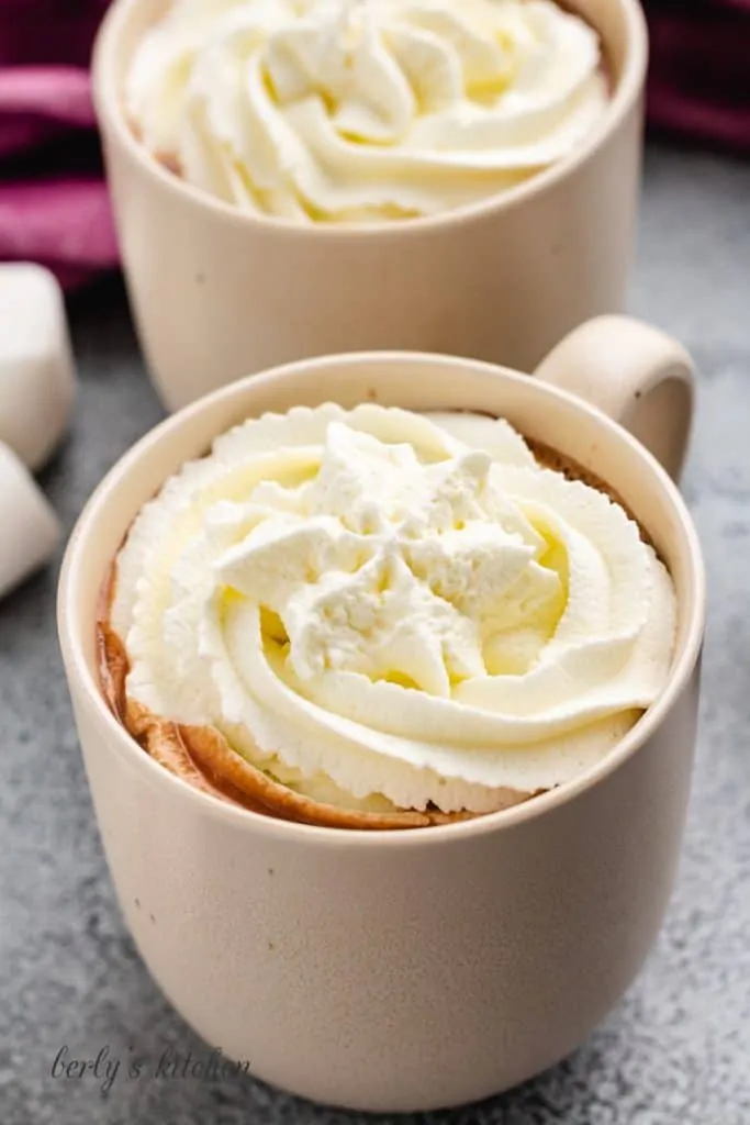 Close-up view the cocoa topped with whipped cream.