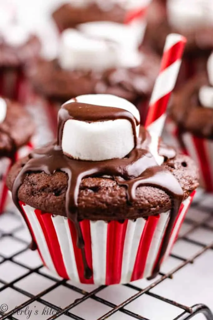 A finished batch of hot chocolate cupcakes on a cooling rack.