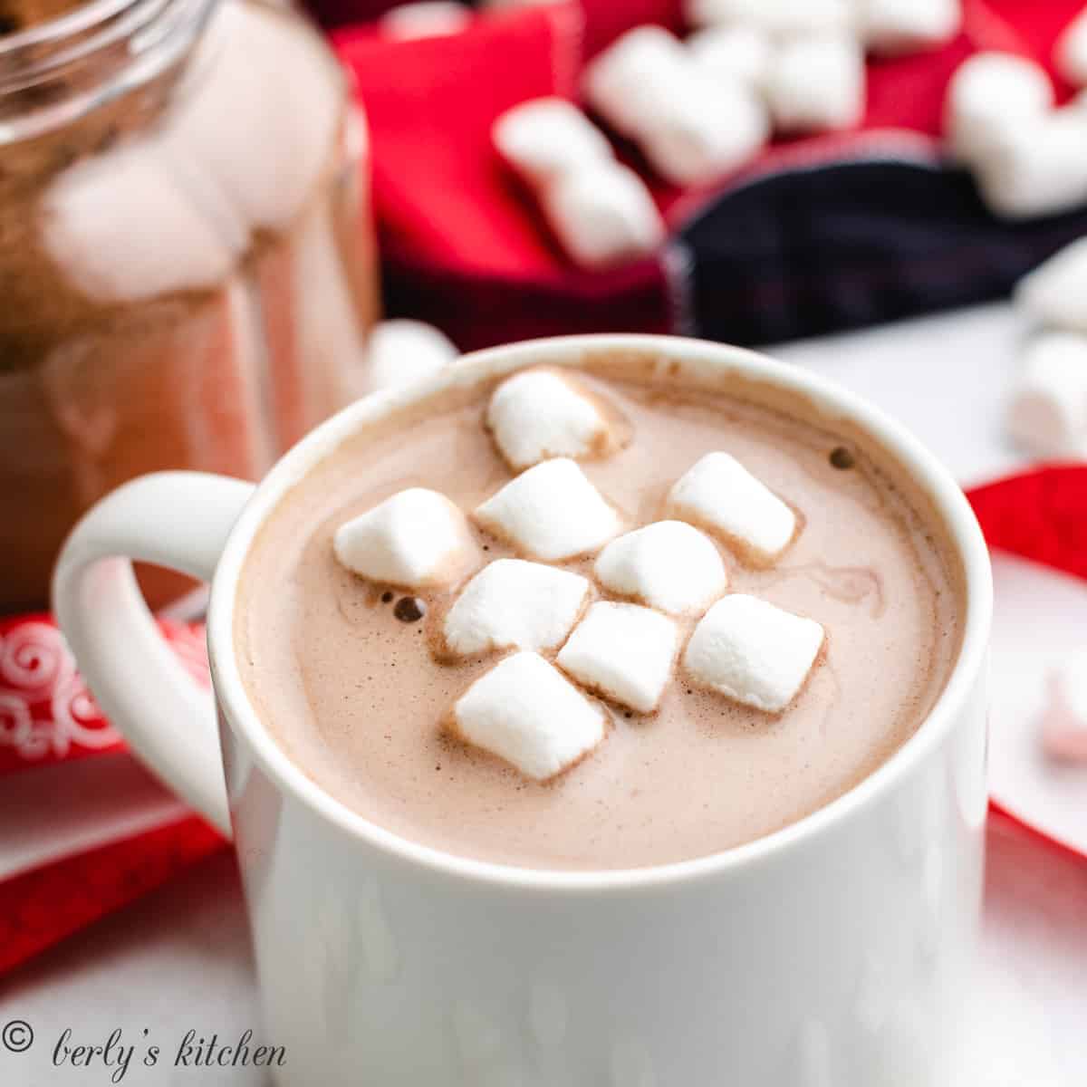 Hot Chocolate Recipe Powdered Milk Nestle Quick Dandk Organizer