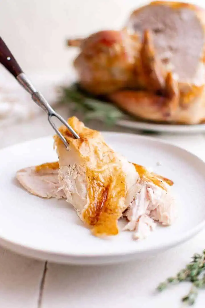 Roast turkey on a plate.