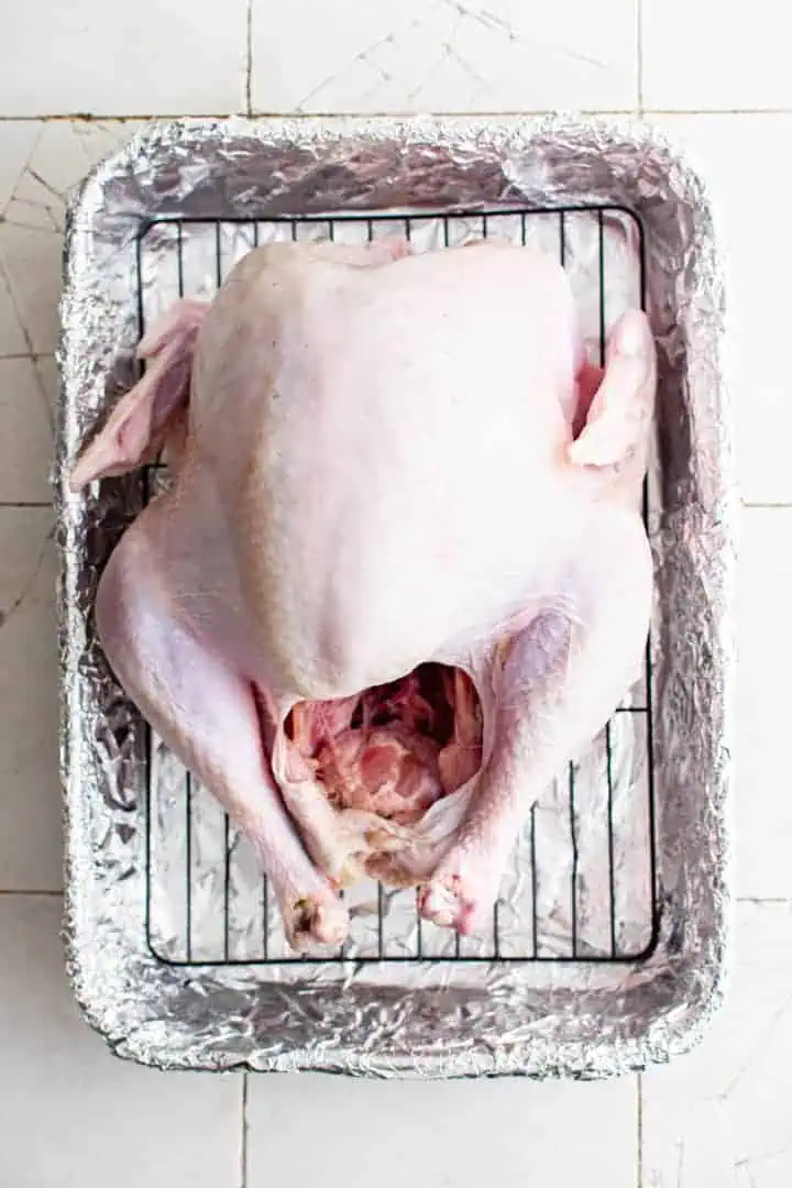 Top down view of a turkey in a roasting pan.