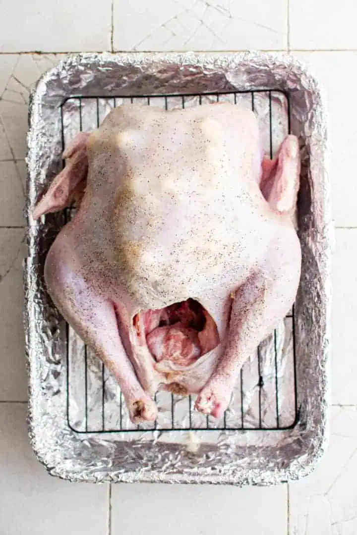 Top down view of a seasoned whole turkey on a pan.