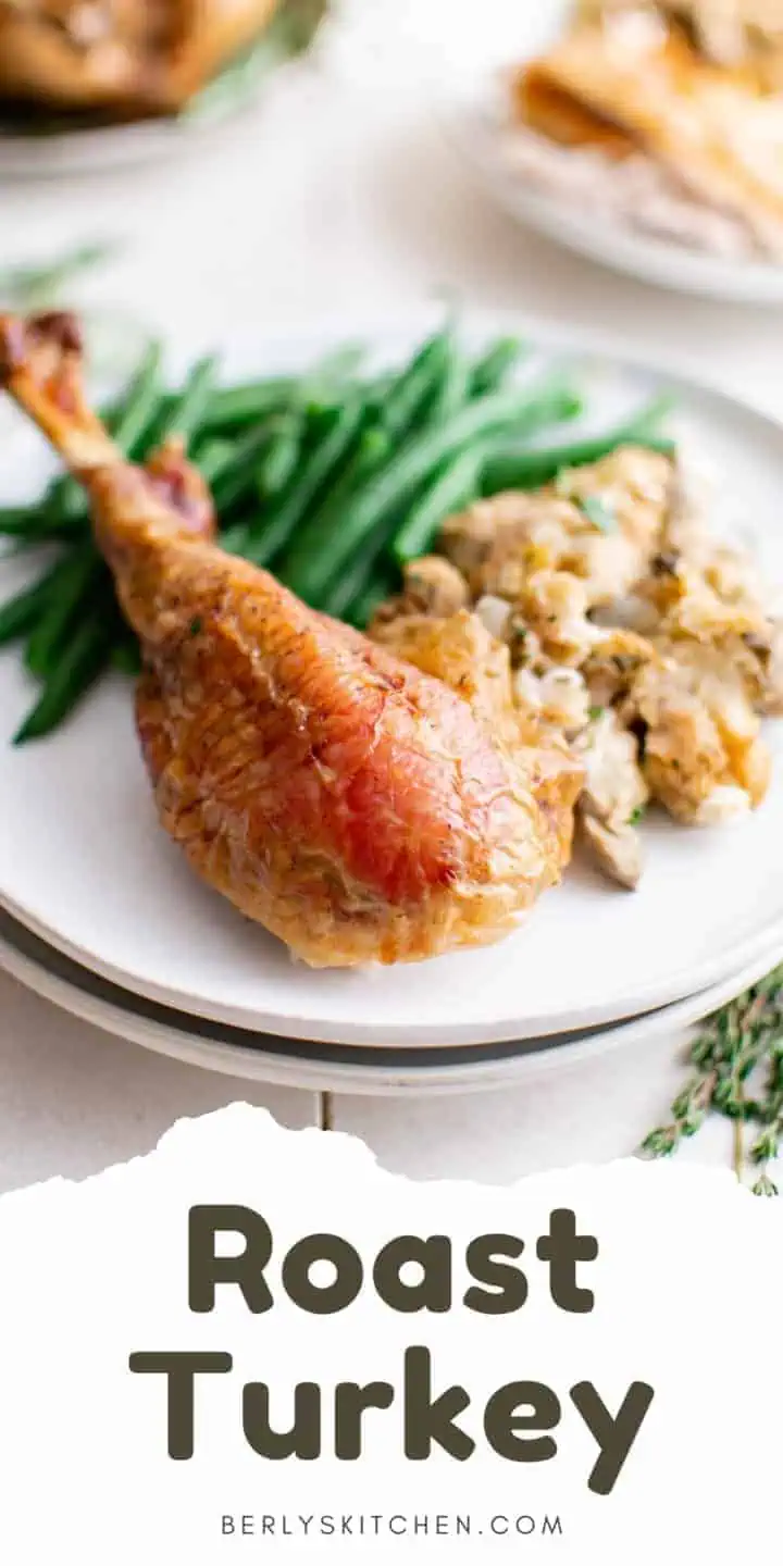 Close up photo of turkey leg on a plate.