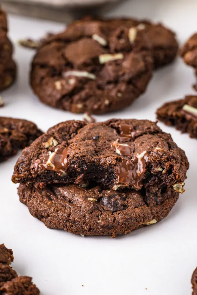 Close up of two mint cookies with a bite taken out of one.