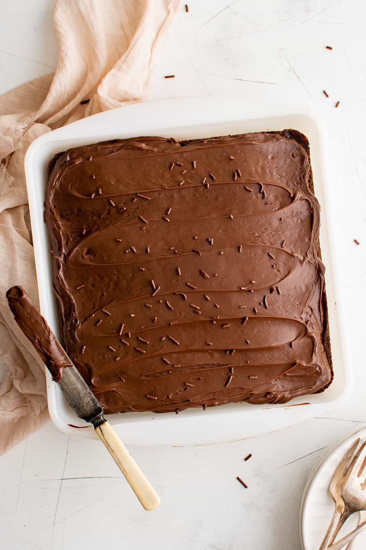 Top down view of a chocolate cake in a pan.