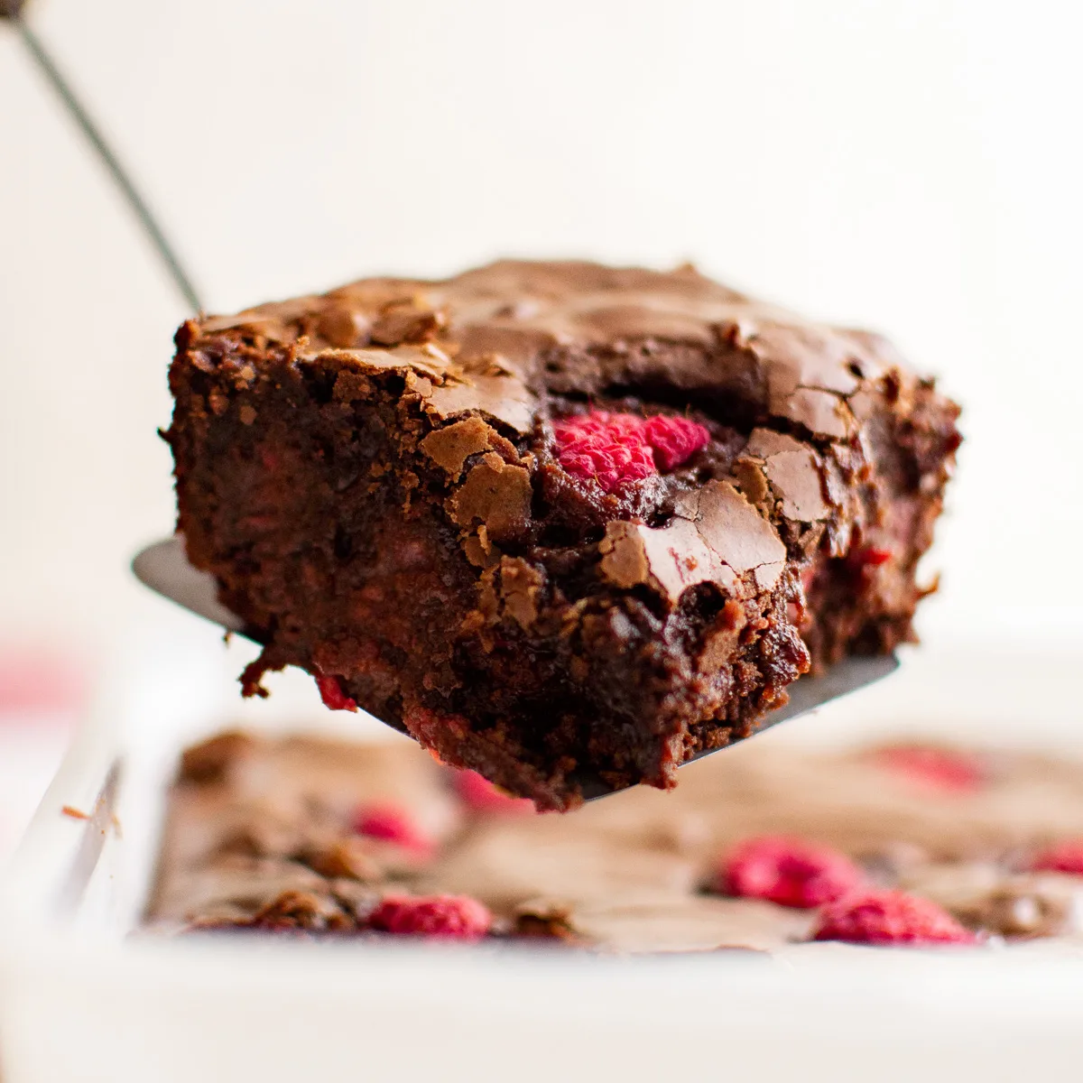 Brownie on a spatula.