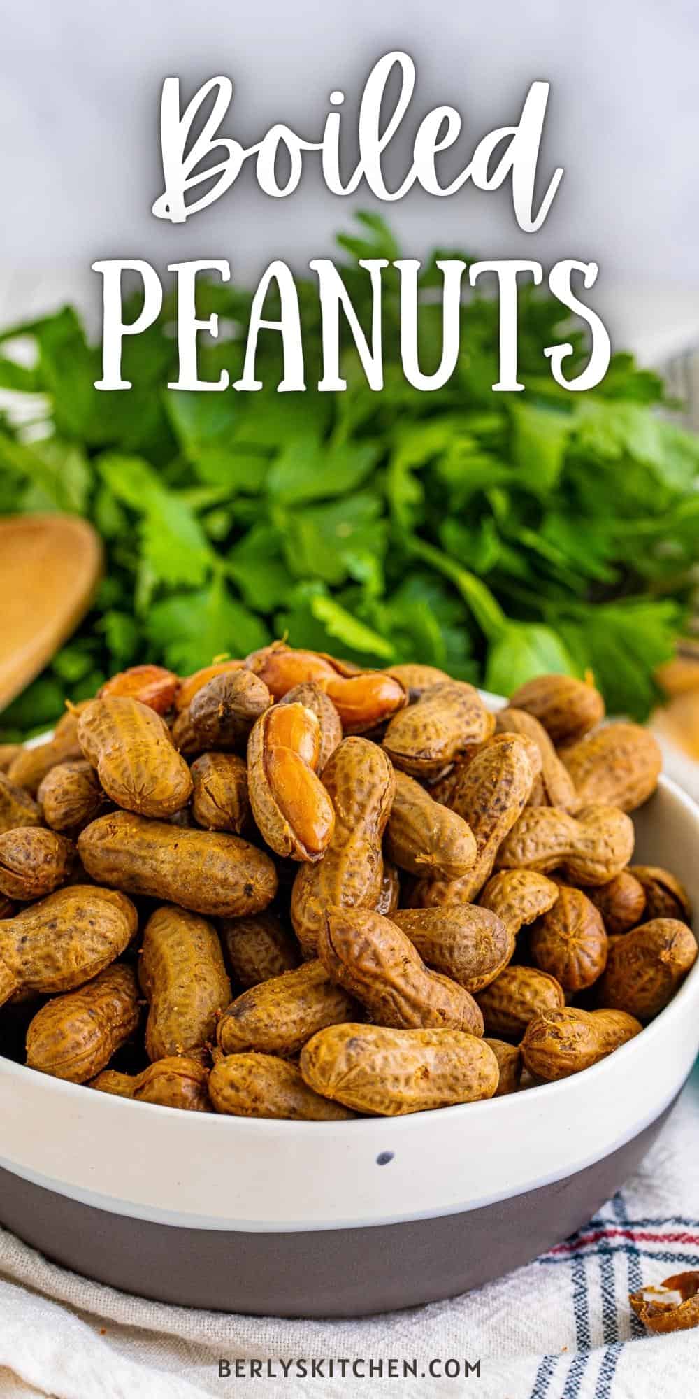 cajun-boiled-peanuts-recipe