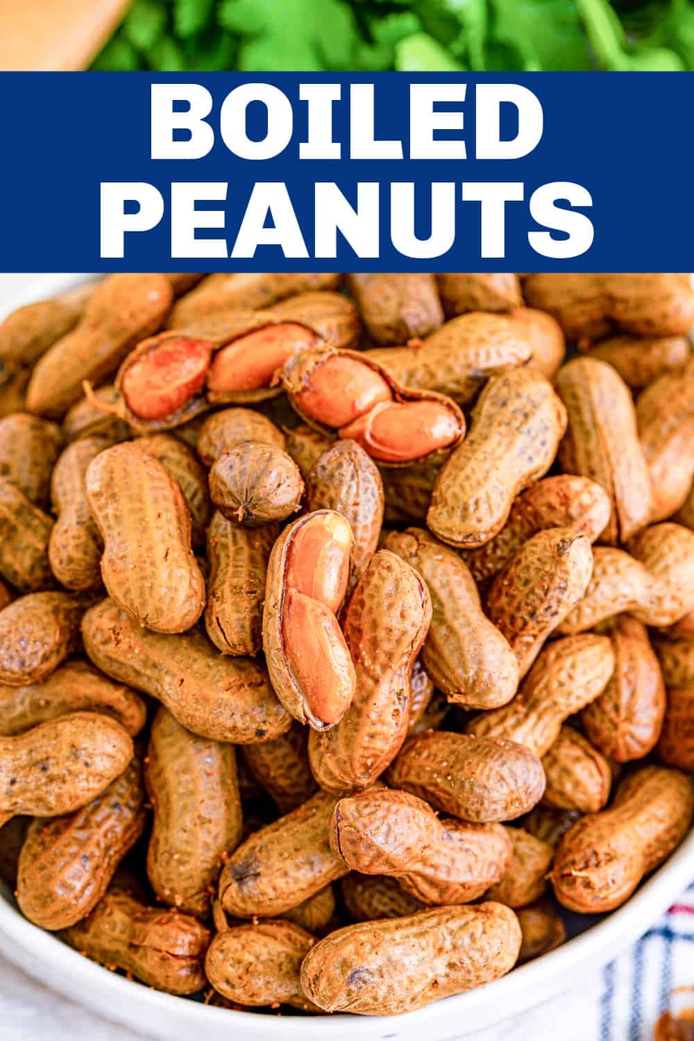 Cajun Boiled Peanuts Recipe