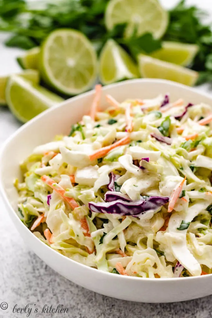 Fish taco slaw with tangy mayo dressing.