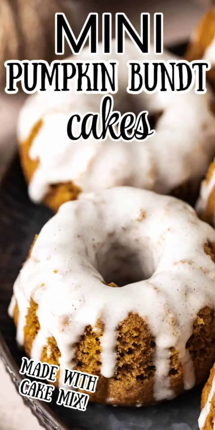 Top down view of mini pumpkin spice bundt cakes.