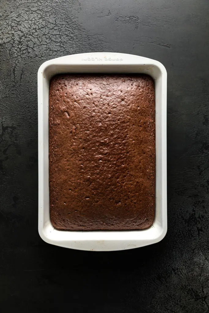 Chocolate cake baked in a pan.