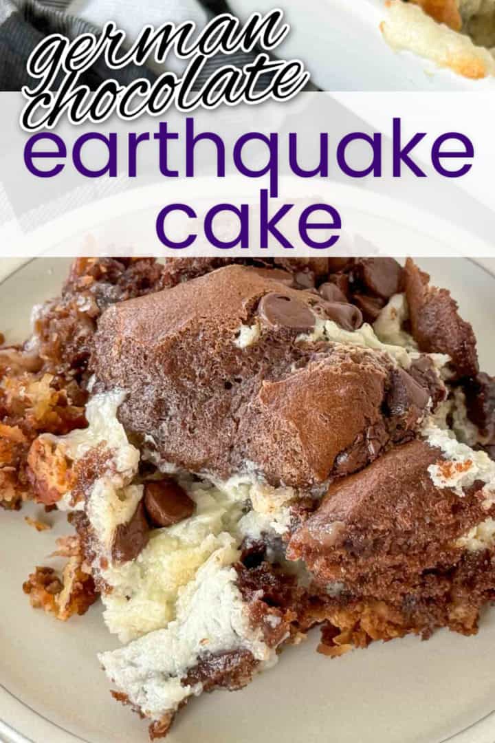 Large piece of earthquake cake on a plate.