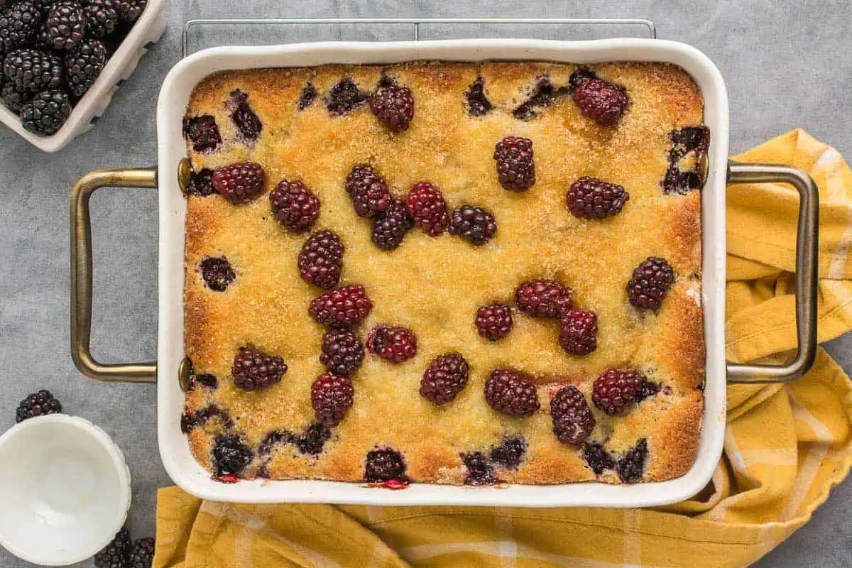 Top down view of blackberry cobbler in a pan.