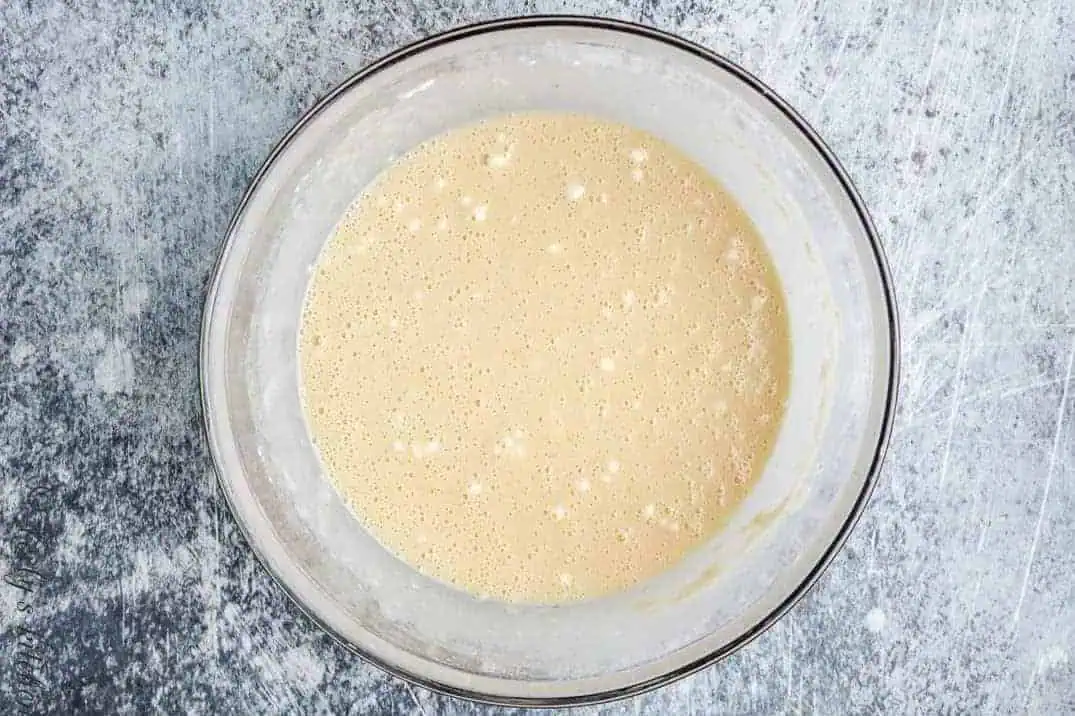 The wet and dry ingredients combined in a bowl.