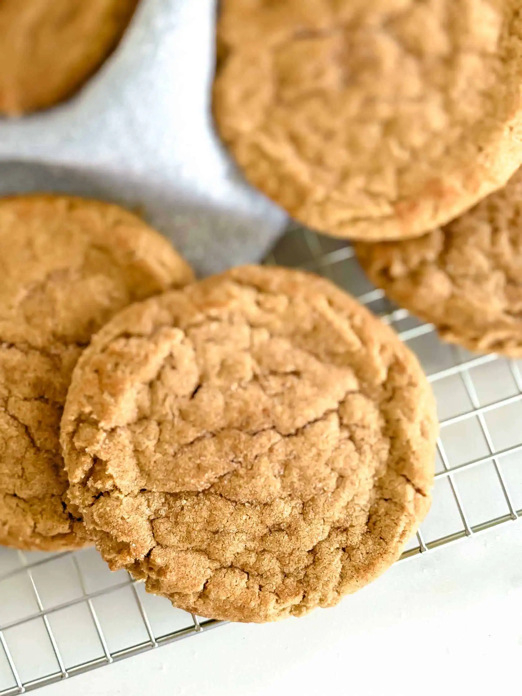 A single cinnamon cookie on a cooling rack, showcasing its golden-brown color and cracked surface.