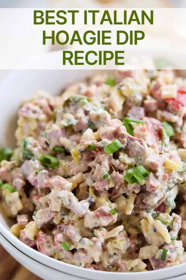 A close-up of a white bowl filled with a creamy mixture of diced italian meats, cheese, and vegetables, garnished with green onions, with text overlay reading "best italian hoagie dip recipe".