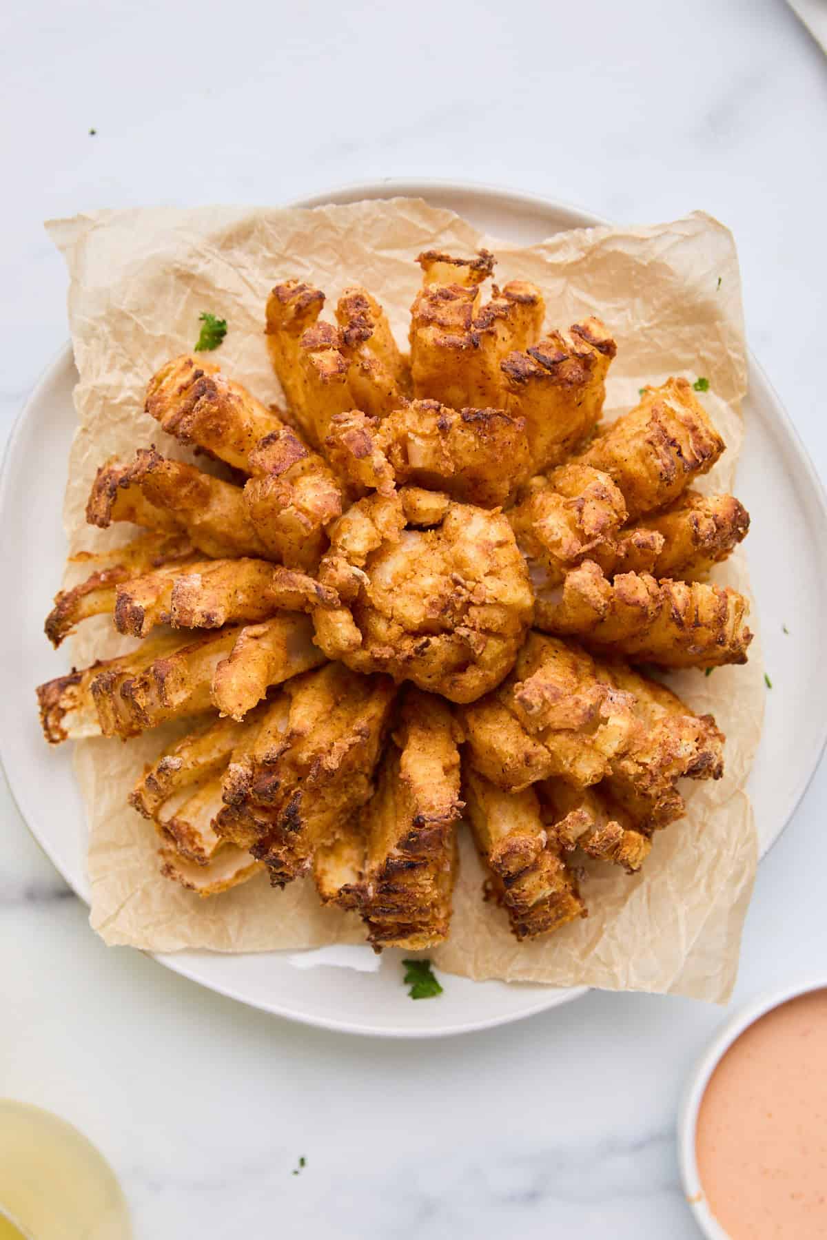 Overhead shot of a blooming onion, showcasing the evenly cut petals and crispy texture.